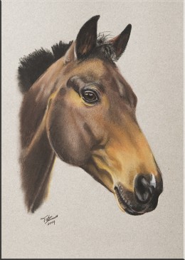 Paard by Tatjana Schneider